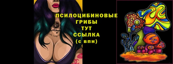 гидропоника Алексеевка